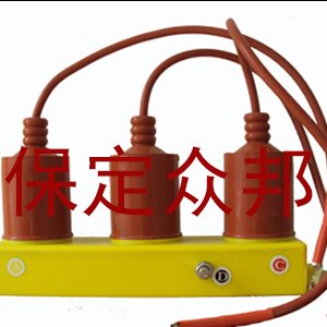 <b>过电压保护器</b>